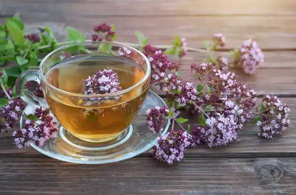 Oregano – przyprawa kryjąca w sobie cały arsenał korzyści zdrowotnych
