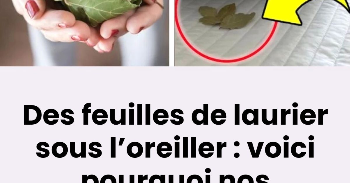 Des feuilles de laurier sous l'oreiller : voilà pourquoi nos grands-parents avaient cette coutume