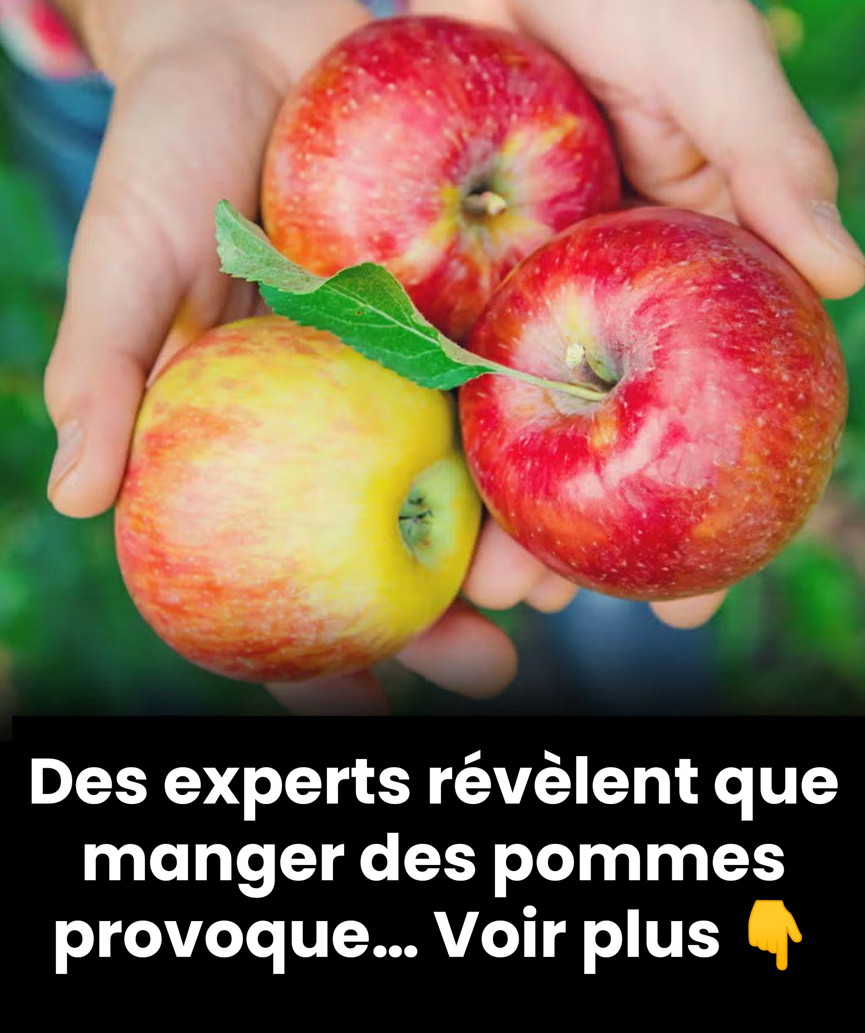 Des médecins révèlent que manger trop de pommes peut provoquer certains effets inattendus