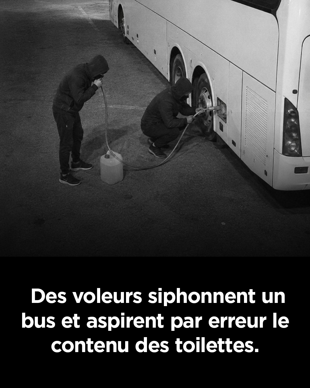 Des voleurs tentent de siphonner un bus et aspirent par erreur le contenu des toilettes du véhicule