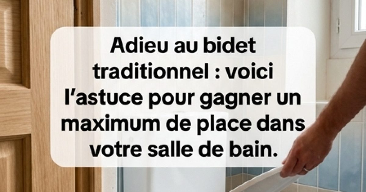 Dites adieu au bidet classique : il existe aujourd’hui une alternative qui permet de gagner beaucoup de place dans la salle de bains