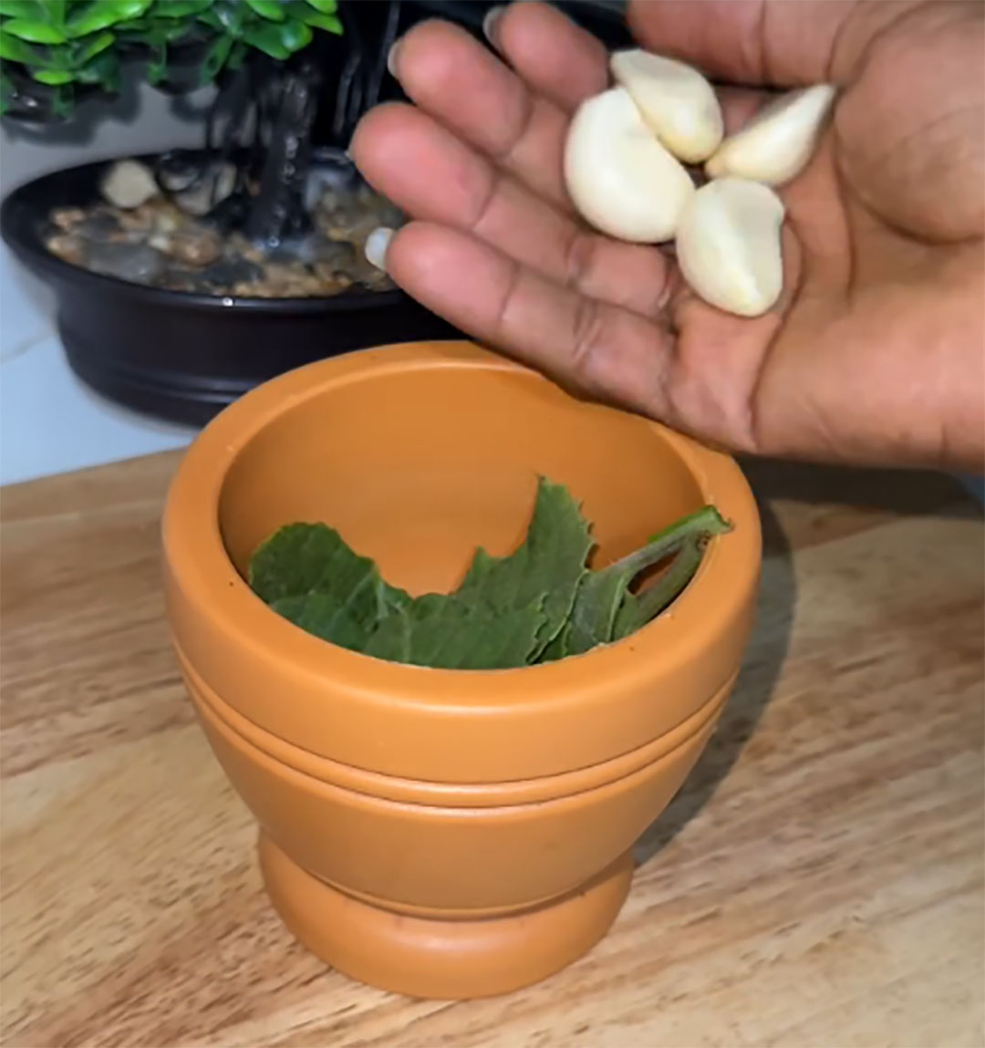 Dites adieu aux mycoses : l’association bienfaisante de l’ail et de l’origan pour votre santé