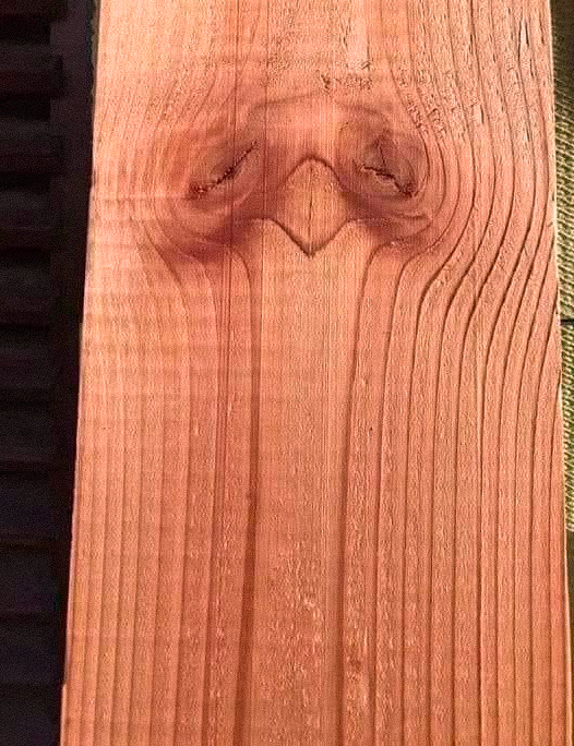 Dites-moi ce que vous voyez et je vous révélerai votre personnalité cachée