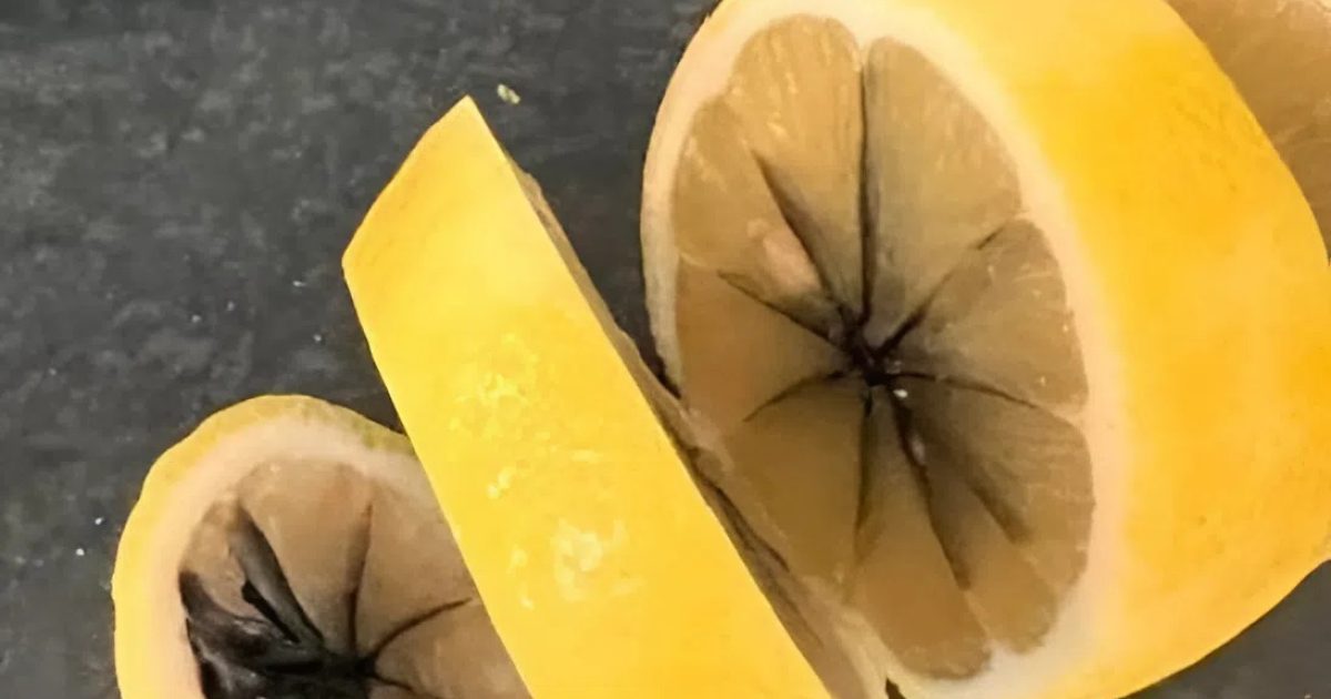 En coupant un citron, j’ai découvert quelque chose d’étrange à l’intérieur… et j’ai été stupéfaite en comprenant ce que c’était.