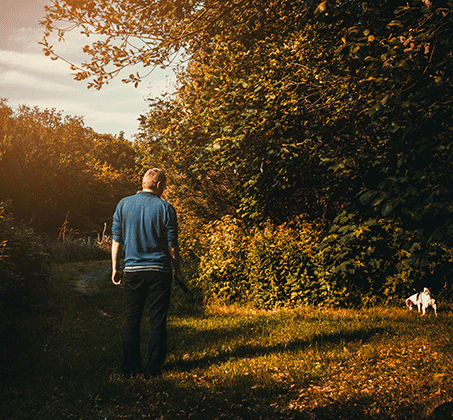 Votre fidèle compagnon peut-il reposer sous votre pelouse ?