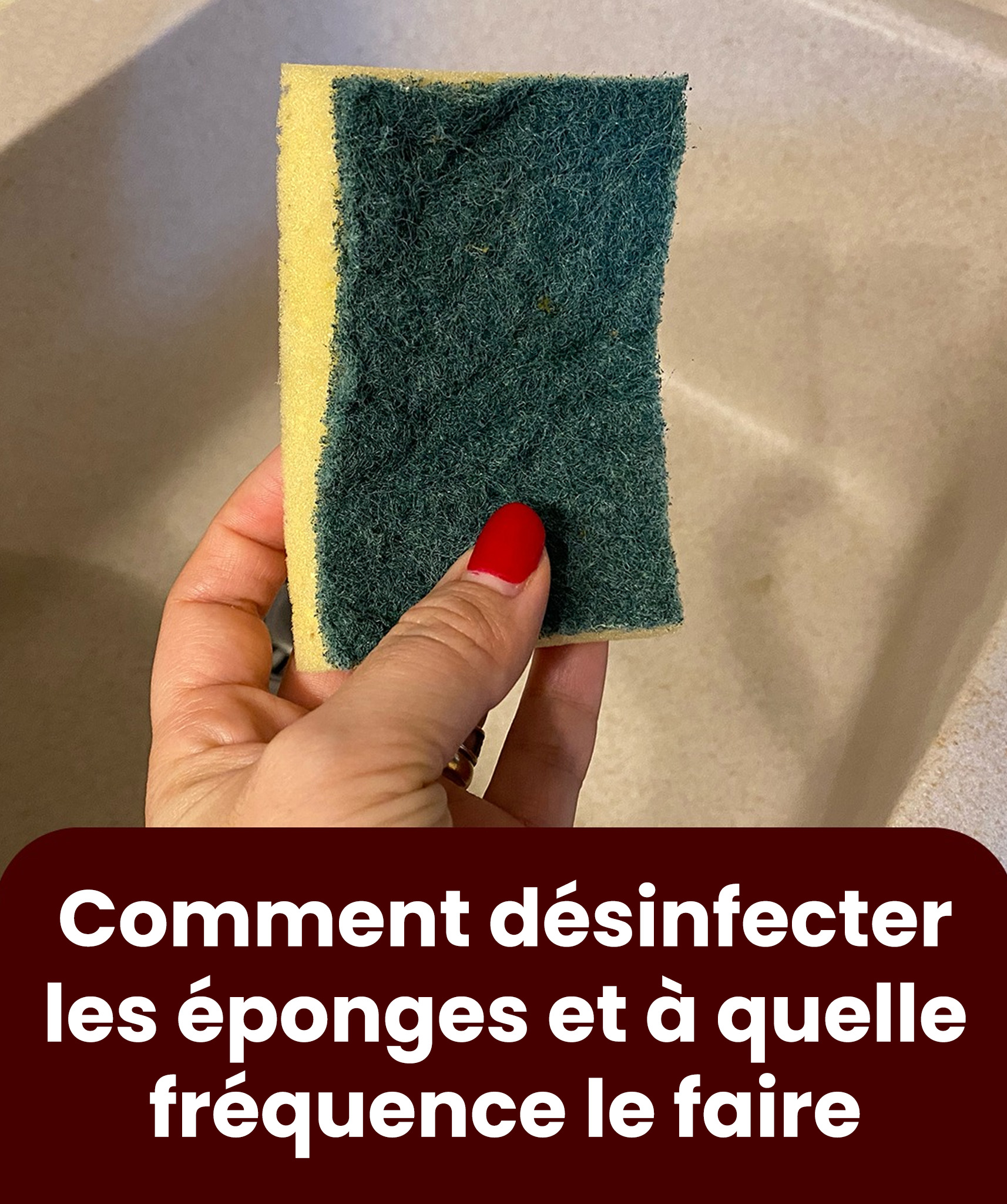 Éponges : du micro-ondes à l’eau bouillante, comment les désinfecter et les précautions à prendre