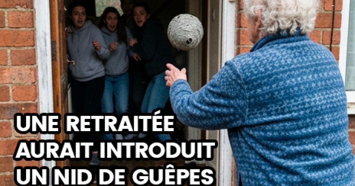 Espagne : une retraitée a lancé un nid de guêpes dans sa maison pour tenter de faire fuir des squatteurs