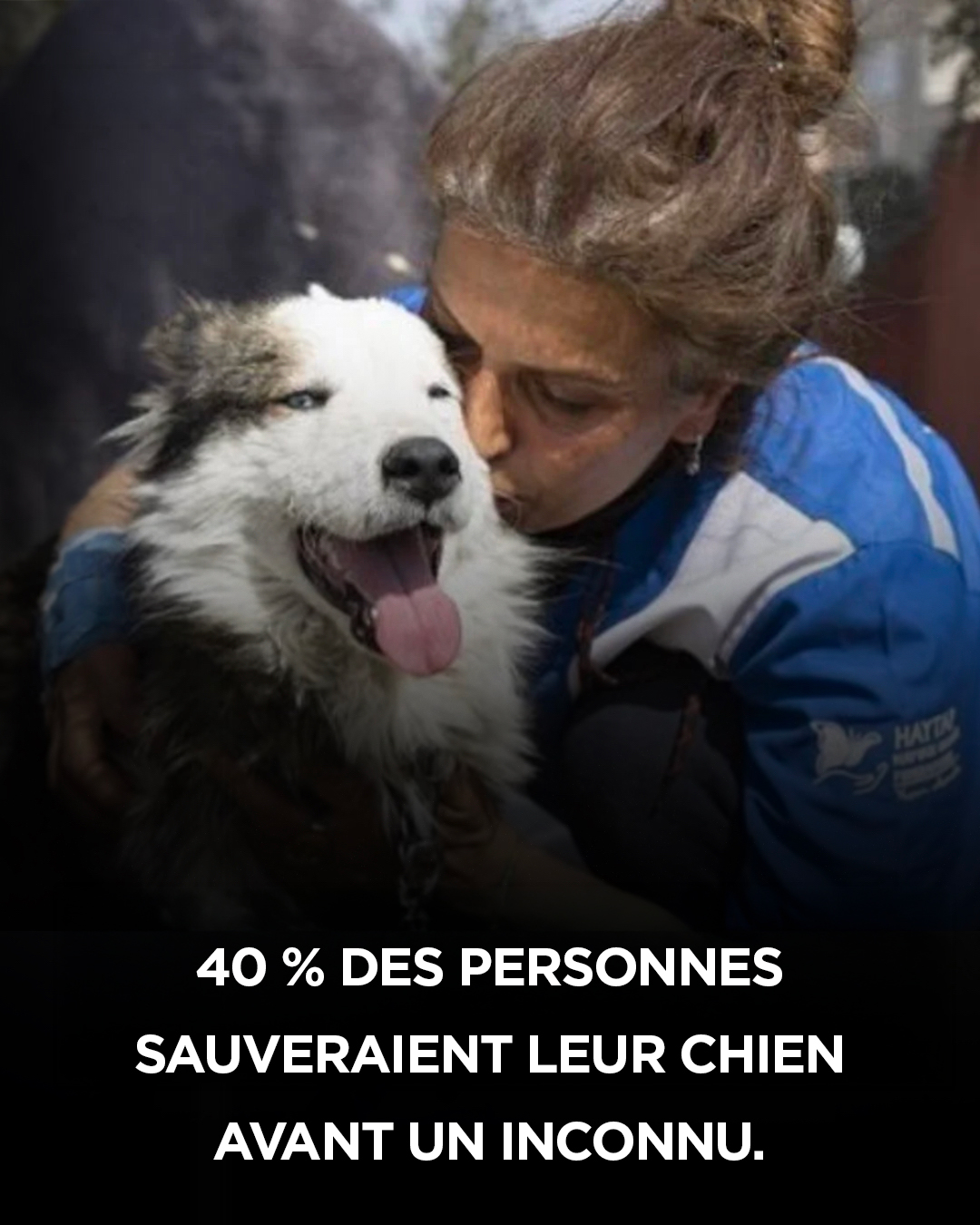 Étude : 40 % des personnes interrogées préféreraient sauver leur chien plutôt qu’un inconnu