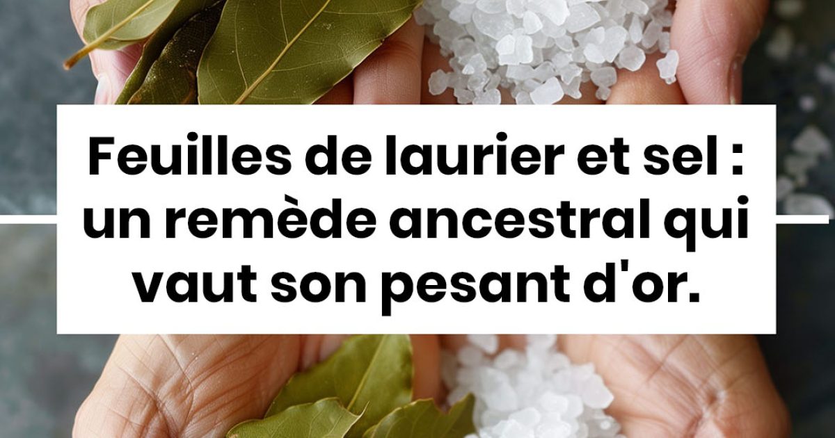 Feuilles de laurier et sel : un remède ancestral qui vaut son pesant d'or