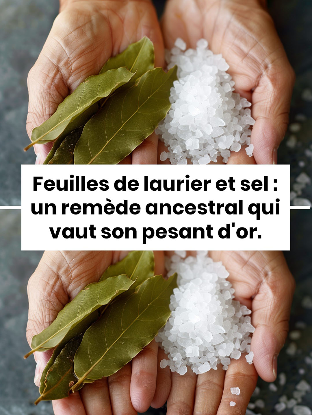 Feuilles de laurier et sel : un remède ancestral qui vaut son pesant d'or