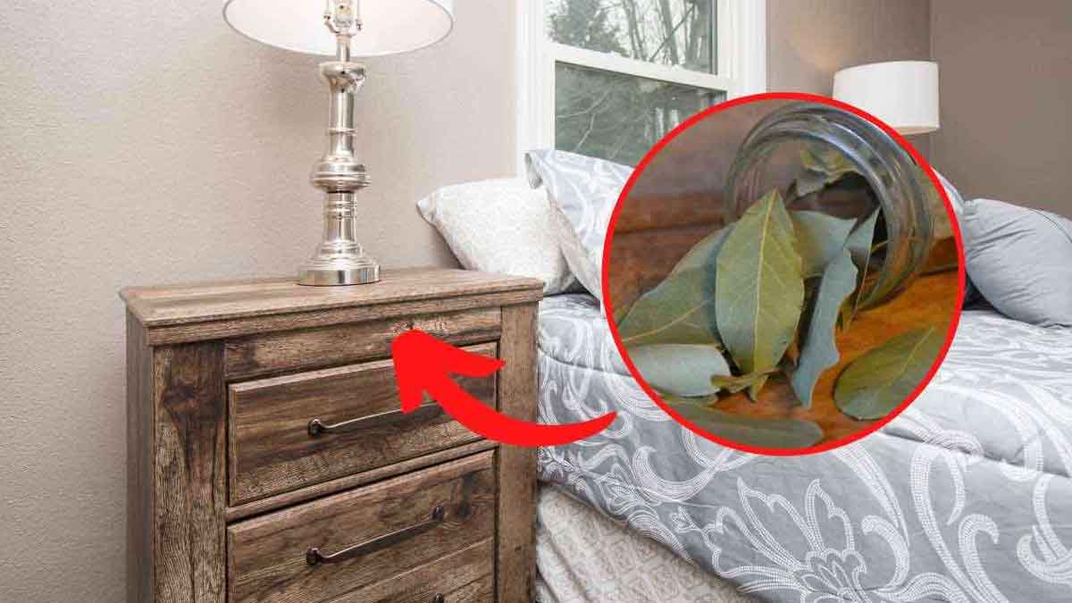 Feuilles de laurier dans une commode