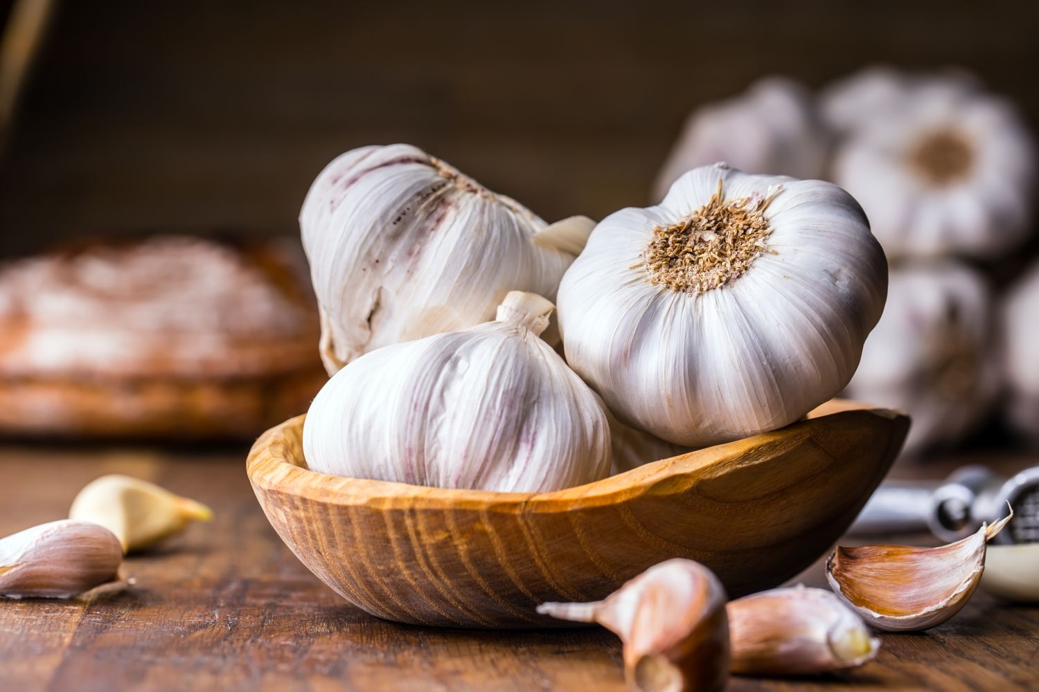 Ail anti-nuisibles : la méthode 100 % naturelle pour dire adieu aux souris, cafards, mouches, poux et lézards