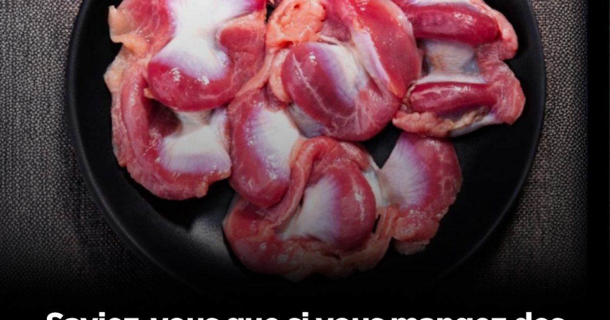Gésiers de poulet : quels bienfaits ?