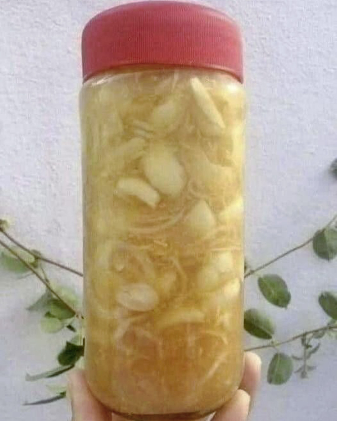 Gingembre râpé, oignon, ail, jus de citron et miel ! Prenez-en juste une cuillère à café par jour et voyez le résultat