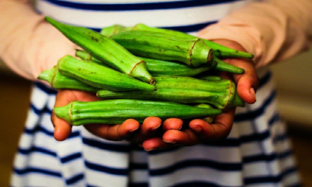 Le gombo dévoile ses atouts : 10 vérités surprenantes sur ce légume vert méconnu