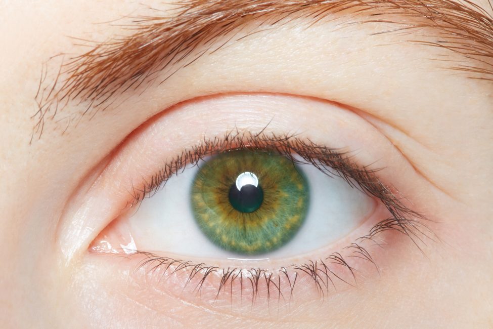 Yeux verts : que cache ce regard d’exception qui ne concerne que 2% de l’humanité ?