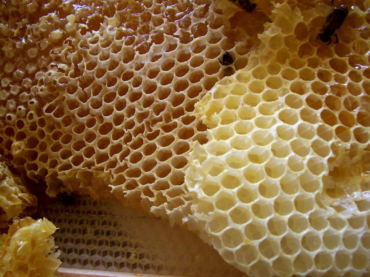 Bloc de cire d'abeille pour couture