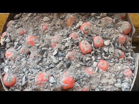 Étapes de conservation des tomates