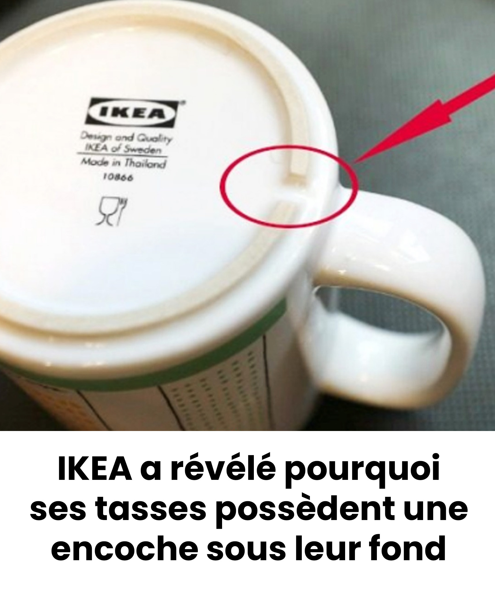 IKEA révèle enfin le mystère des tasses : voici pourquoi elles ont une encoche sous le fond
