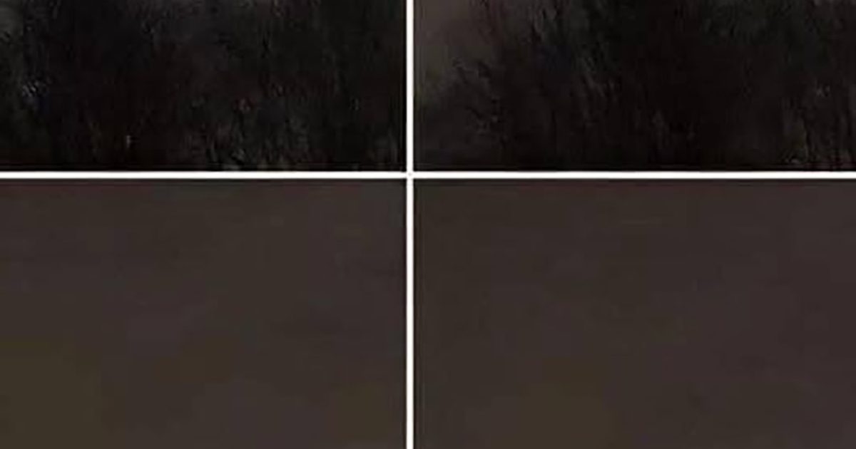 Il a pris cette photo à seulement 21 km de la maison… et personne n’a jamais compris ce que c’est