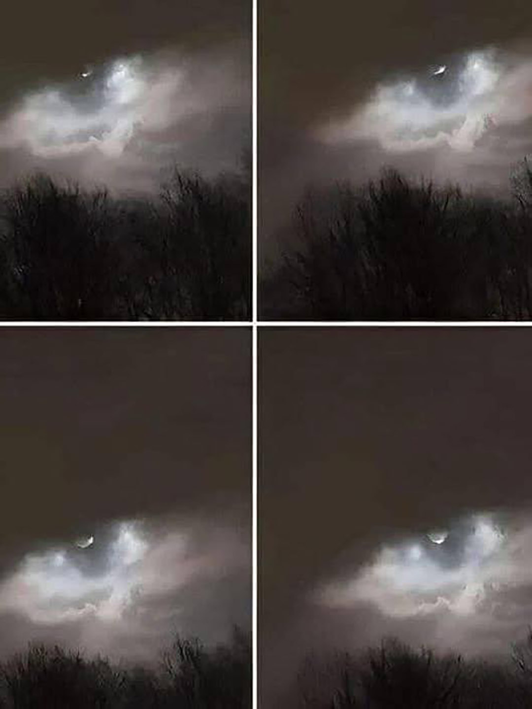 Il a pris cette photo à seulement 21 km de la maison… et personne n’a jamais compris ce que c’est