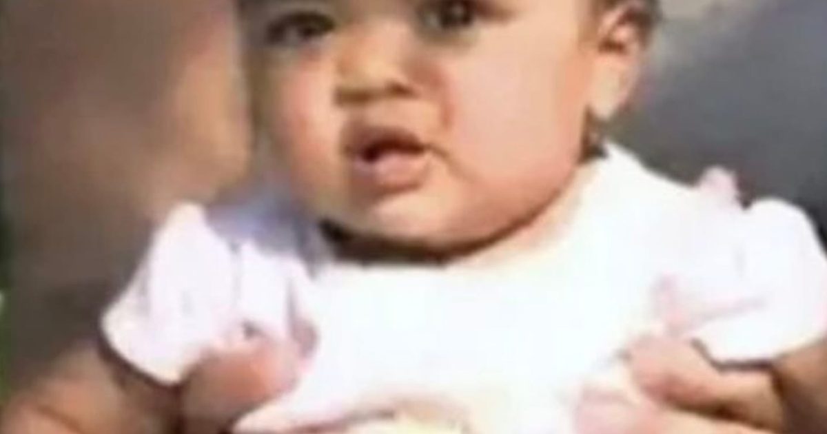 Ils ont cru assister à une tragédie… mais en quelques secondes, ce pitbull est devenu un héros