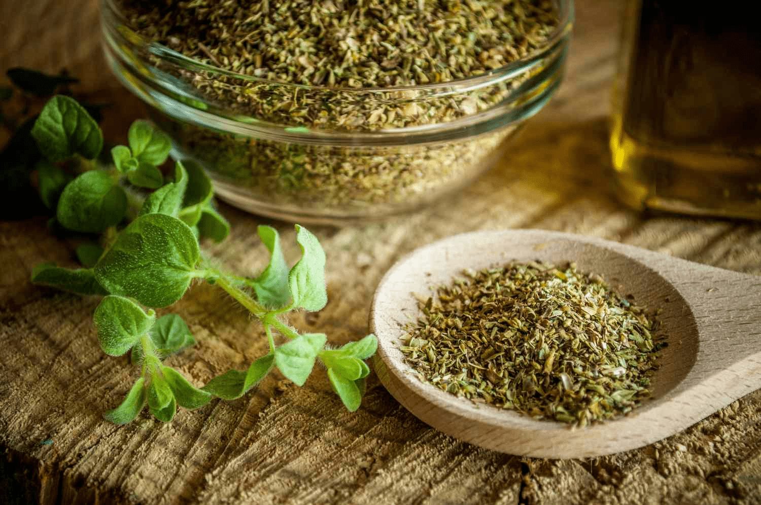 L’origan, ce trésor aromatique qui réveille vos plats et protège votre santé après 50 ans