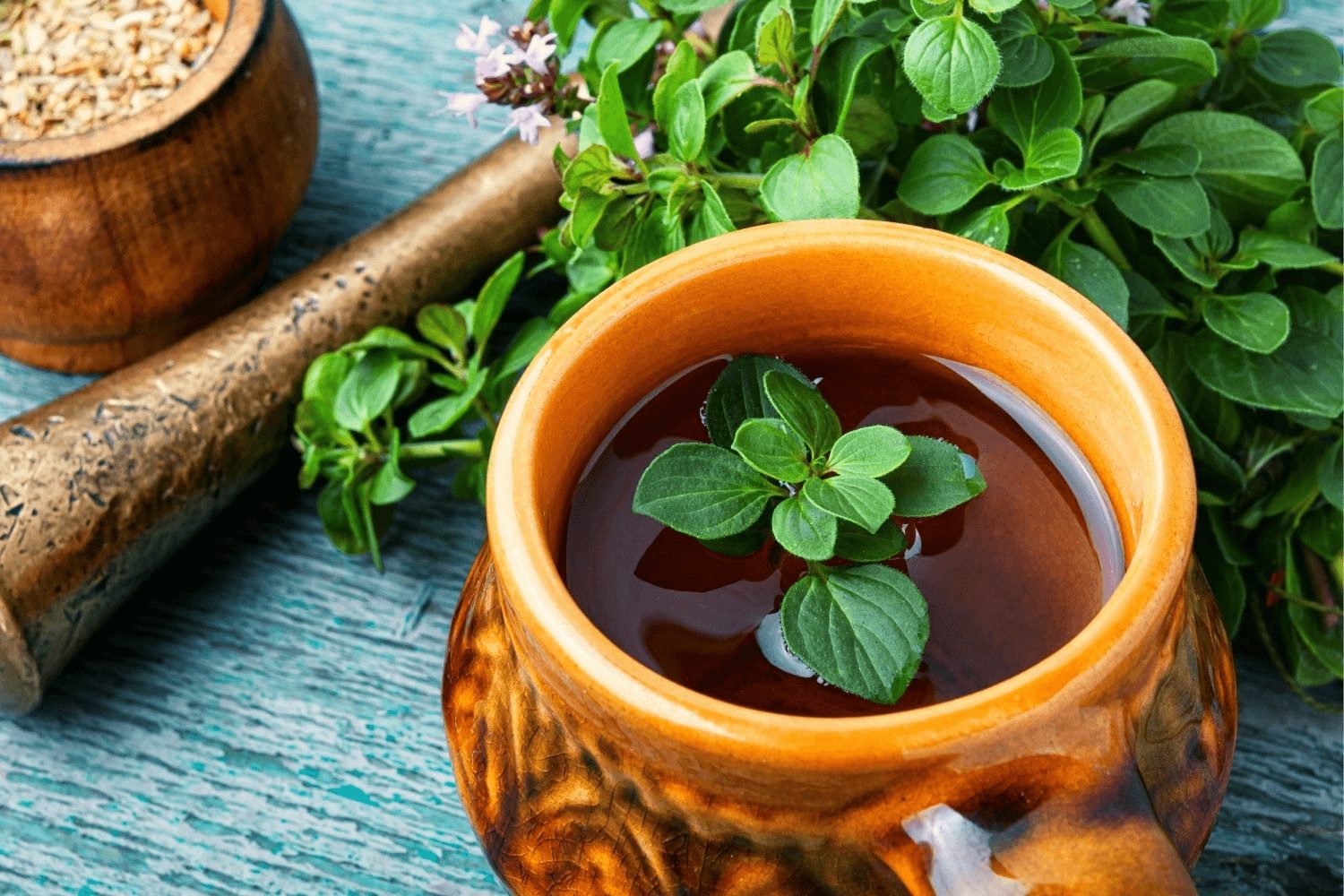 L’origan, ce trésor aromatique qui réveille vos plats et protège votre santé après 50 ans