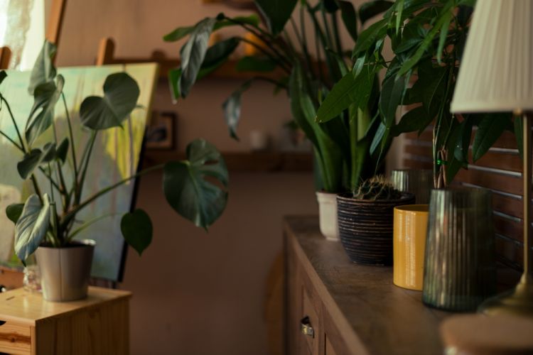 Pourquoi votre appartement transformé en jungle intérieure en dit long sur votre personnalité, selon les psys