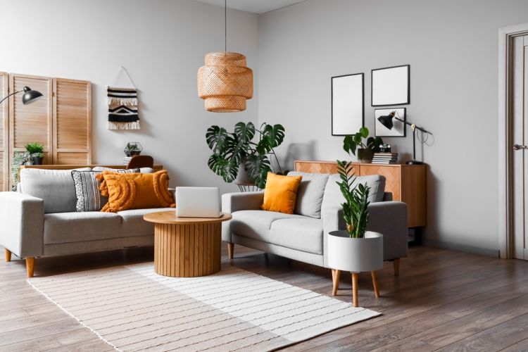 Pourquoi votre appartement transformé en jungle intérieure en dit long sur votre personnalité, selon les psys