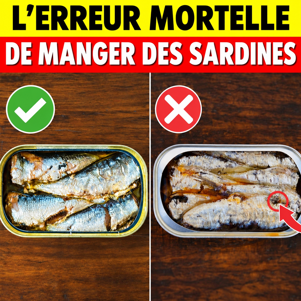Sardines en boîte : les 5 erreurs que presque tout le monde fait (et comment les éviter)