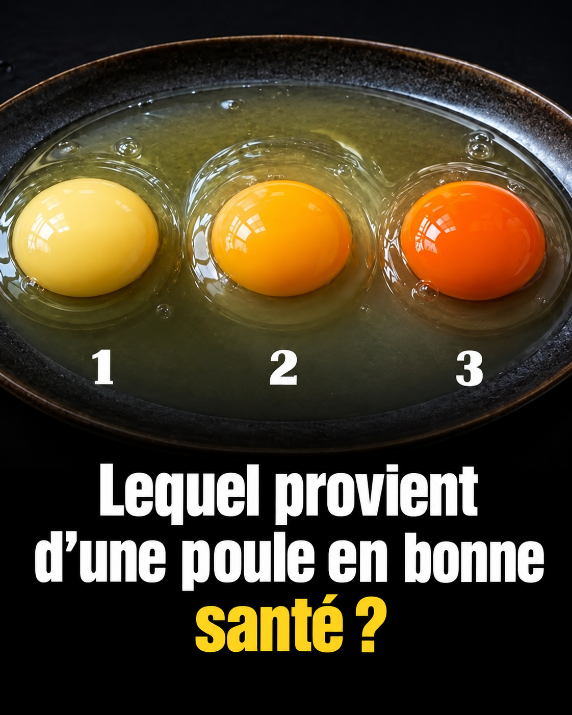 Jaune d'œuf : la couleur révèle-t-elle vraiment la santé de la poule ?