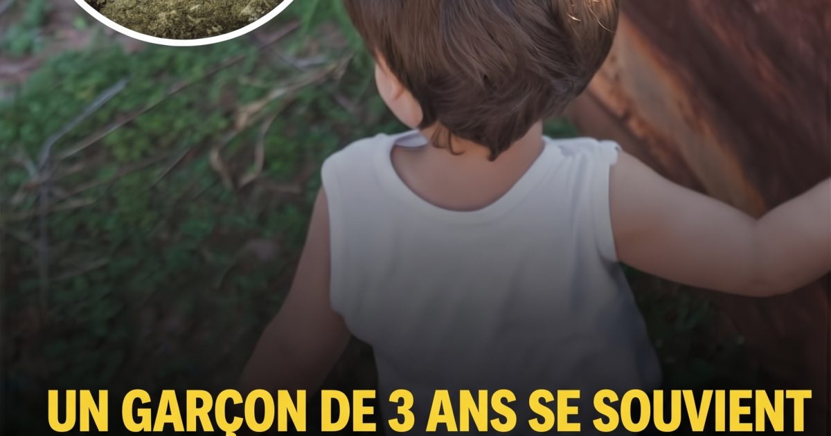 Ce petit garçon de 3 ans a dit quelque chose d'incroyable : l'histoire qui intrigue le monde entier
