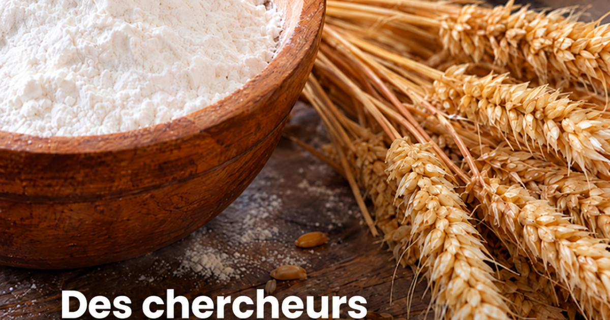 Maladie cœliaque : les scientifiques découvrent enfin comment la réaction au gluten se déclenche dans l'intestin