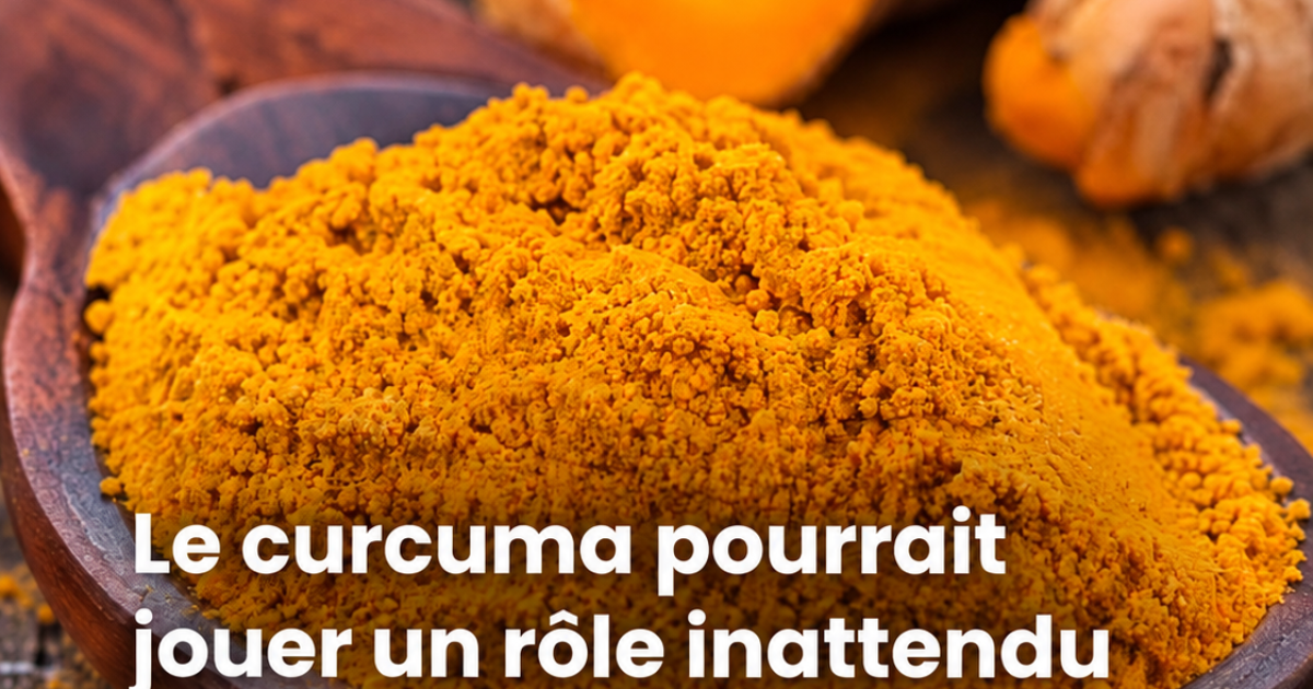 Curcuma et mémoire : ce que les études récentes révèlent vraiment sur cette épice star