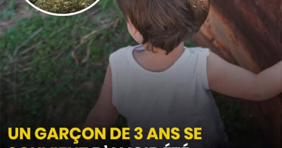 Cet enfant de 3 ans se souvient d'une vie antérieure : ce qu'il a révélé a stupéfié tout le monde