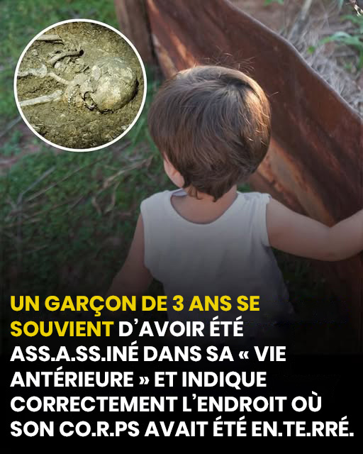 Cet enfant de 3 ans se souvient d'une vie antérieure : ce qu'il a révélé a stupéfié tout le monde