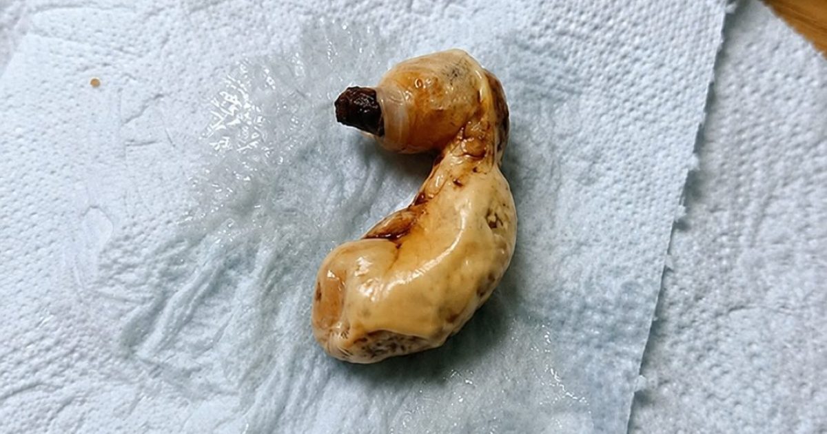 Elle découvre un objet mystérieux sous le lit de son fils : ce que notre cerveau fait de la peur