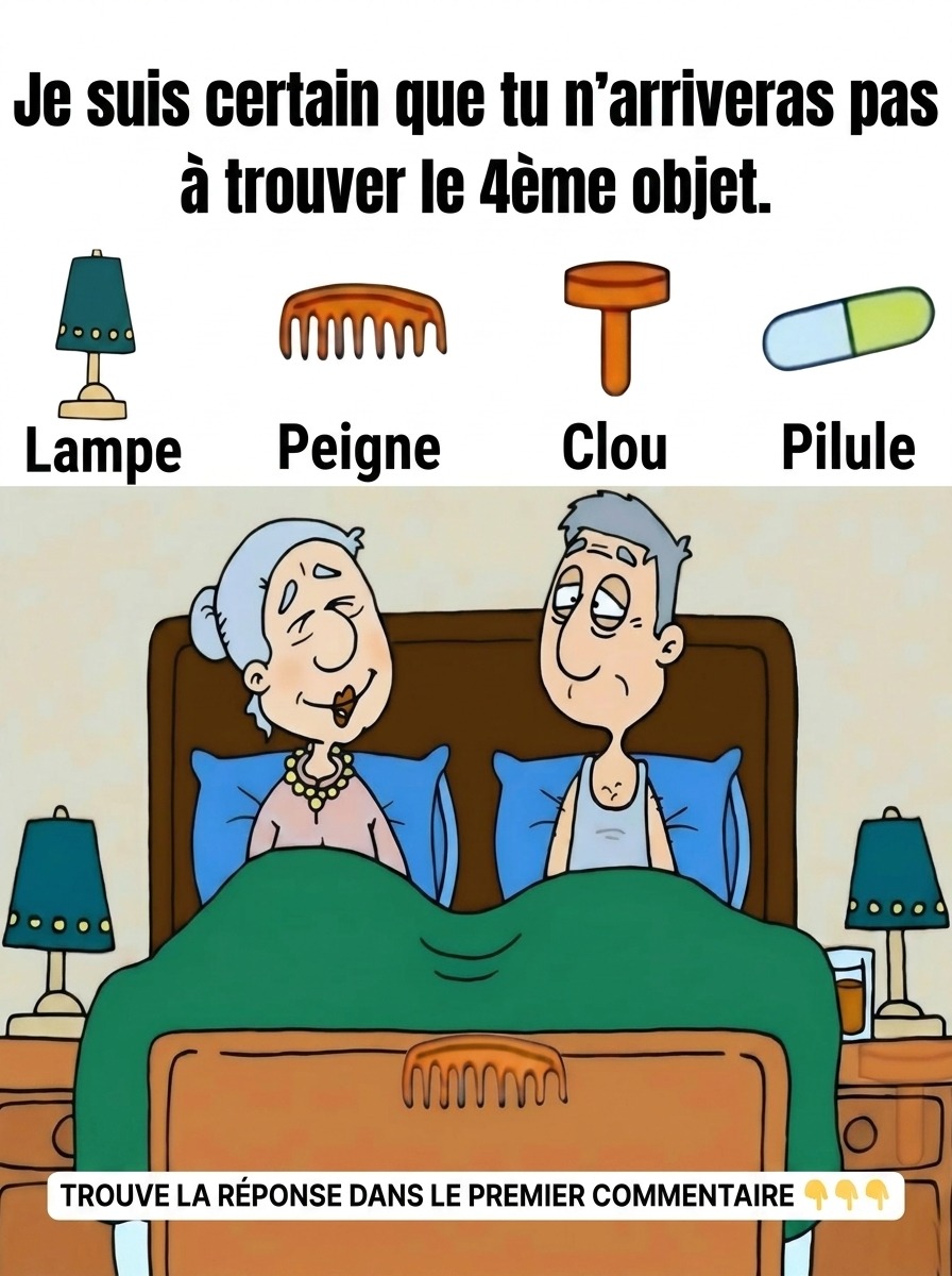 Ce puzzle visuel cache 4 objets introuvables : saurez-vous les repérer tous ?