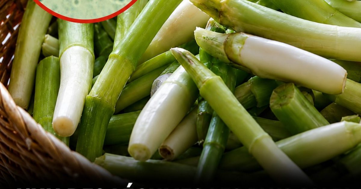 Ciboule et oignon nouveau : ce légume adoré cru cache un secret que vous devriez connaître