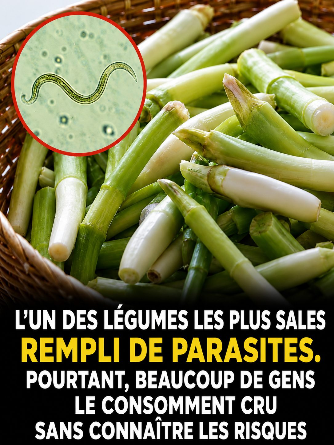Ciboule et oignon nouveau : ce légume adoré cru cache un secret que vous devriez connaître