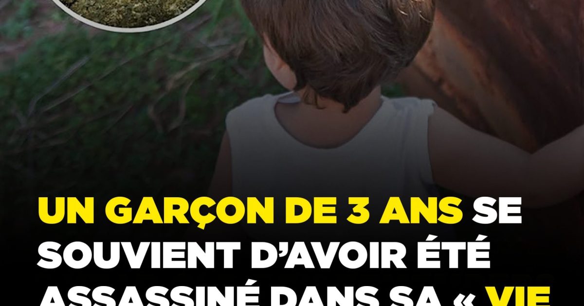 Cet enfant de 3 ans se souvient d'une vie antérieure : ce qu'il a révélé a stupéfié les experts