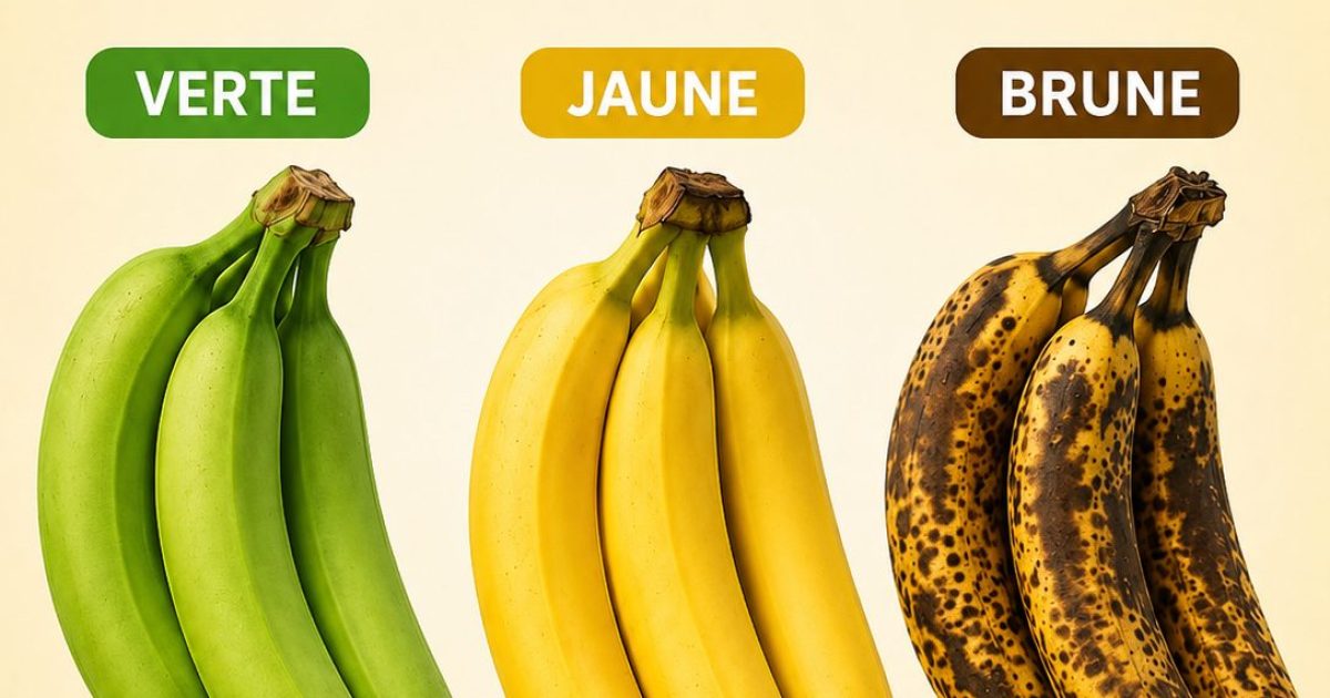 Banane verte, jaune ou brune : laquelle est vraiment la plus saine pour vous ?