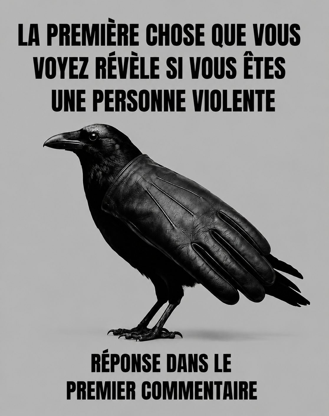 Test visuel : corbeau ou gant, ce que vous voyez en premier dit tout de votre personnalité