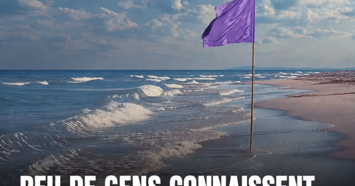Drapeaux de plage : le guide indispensable pour nager en toute sécurité cet été