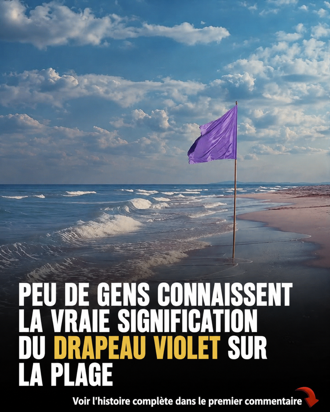 Drapeaux de plage : le guide indispensable pour nager en toute sécurité cet été