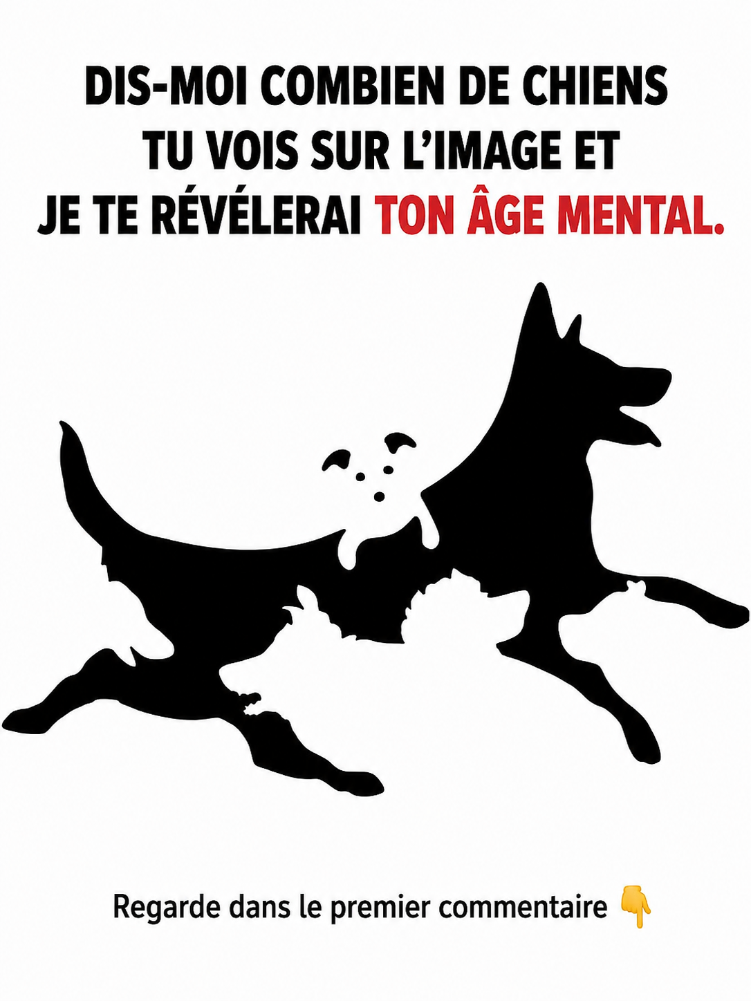 Test visuel : combien de chiens voyez-vous ? Ce que votre réponse dit vraiment de votre âge mental