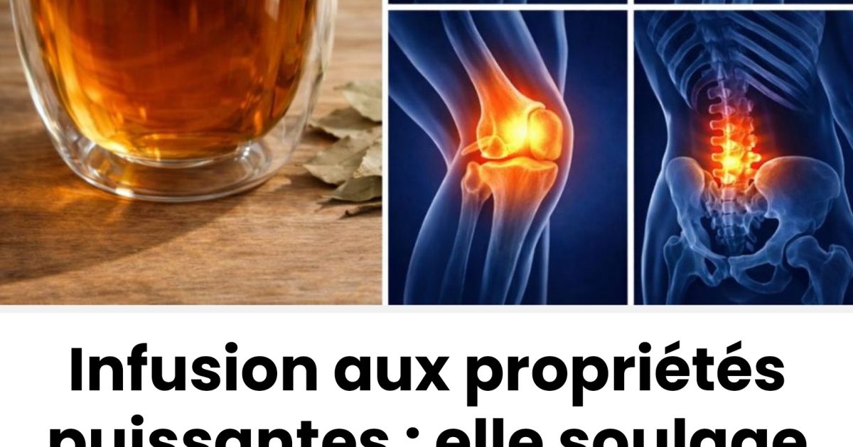 Infusion aux propriétés puissantes : elle soulage les douleurs articulaires, musculaires et rhumatismales