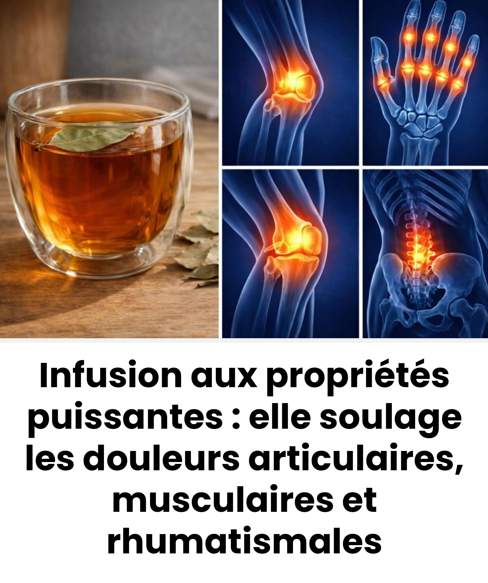 Infusion aux propriétés puissantes : elle soulage les douleurs articulaires, musculaires et rhumatismales