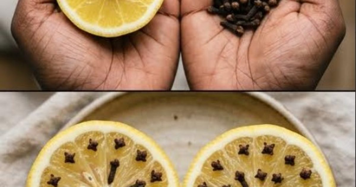 J’achète des feuilles de laurier, du citron et des clous de girofle pour créer un agréable parfum dans la maison — et mes invités pensent que tout cela vient de coûteux diffuseurs d’arômes.